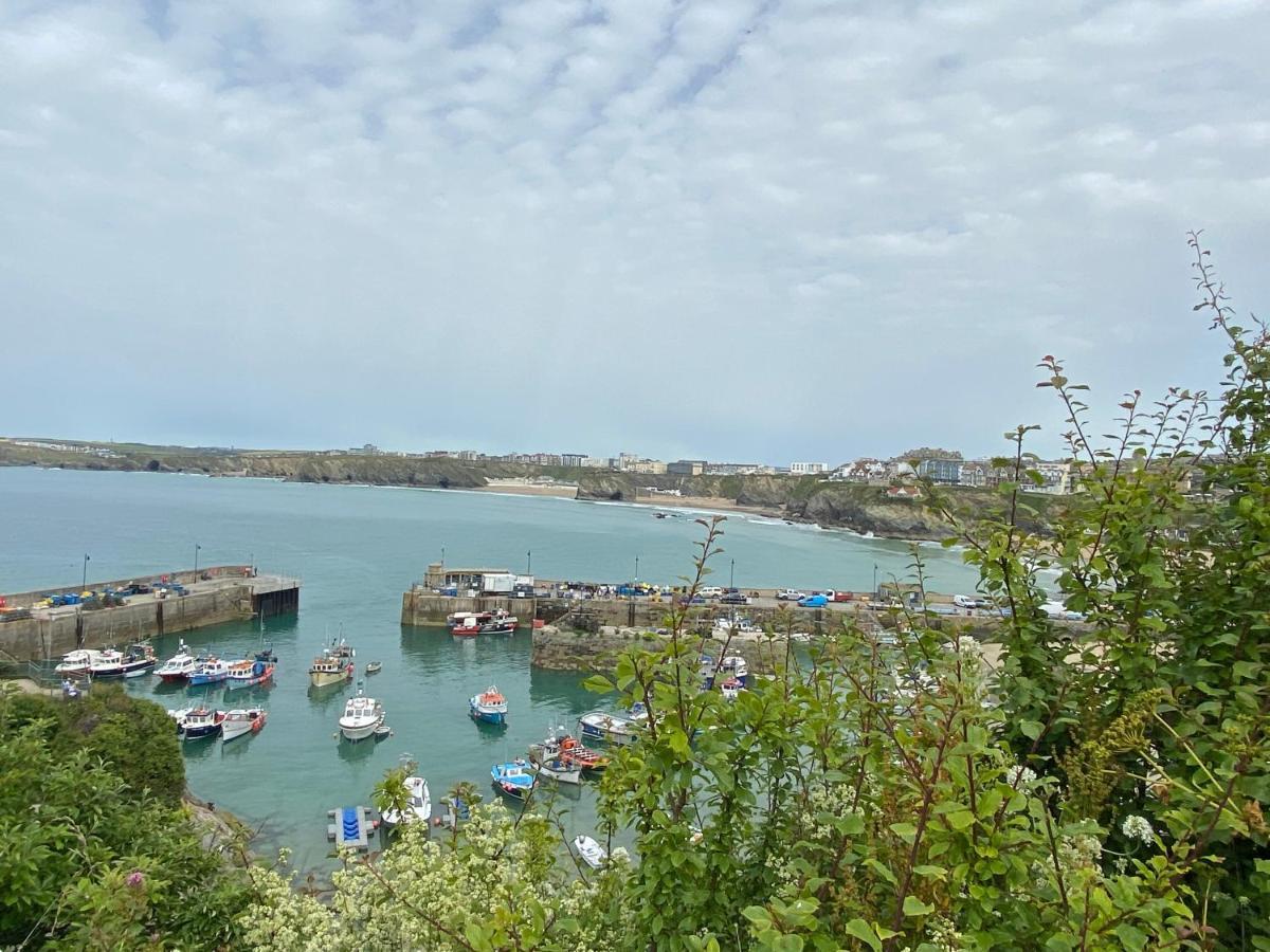 Ocean View Beach Rd New Quay Zewnętrze zdjęcie